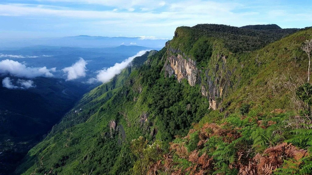 Horton Plains
