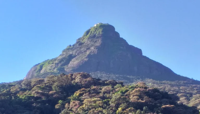 Climbing Adam’s Peak in Sri Lanka